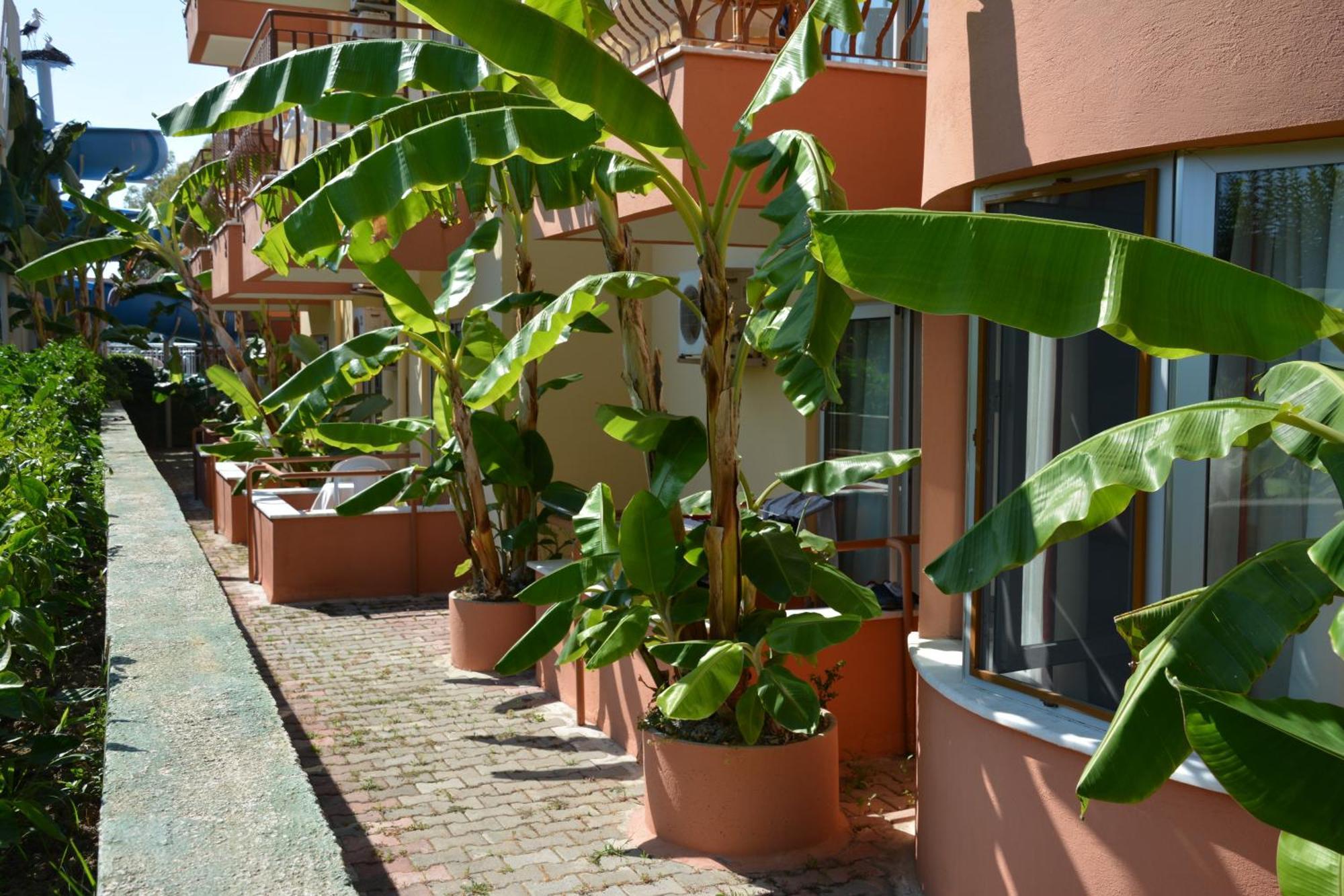Yavuzhan Hotel Σιντέ Δωμάτιο φωτογραφία